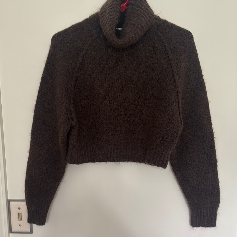 Zara Brown Turtleneck Sweater